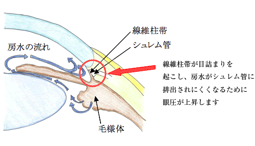 JpΓ